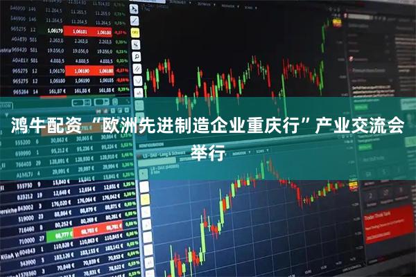 鸿牛配资 “欧洲先进制造企业重庆行”产业交流会举行